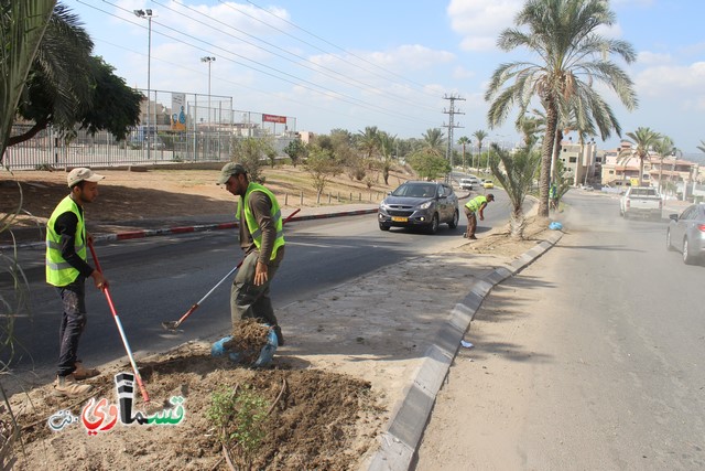 فيديو - كفر قاسم :  بعد النشر في قسماوي نت  البدء بالمراحل الاولى من البستنة والتشجير في جزر مدخل المدينة 